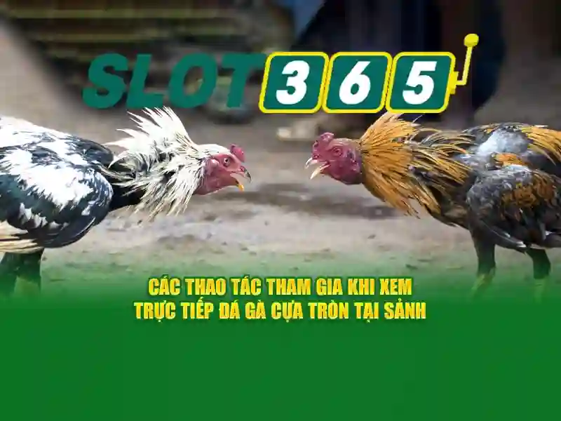slot365 bet – Trải nghiệm cá cược trực tuyến vượt trội 1 Đăng Nhập