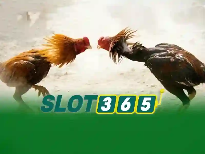 Slot365: Giới thiệu nền tảng slot trực tuyến an toàn và hấp dẫn 1 Đăng Nhập