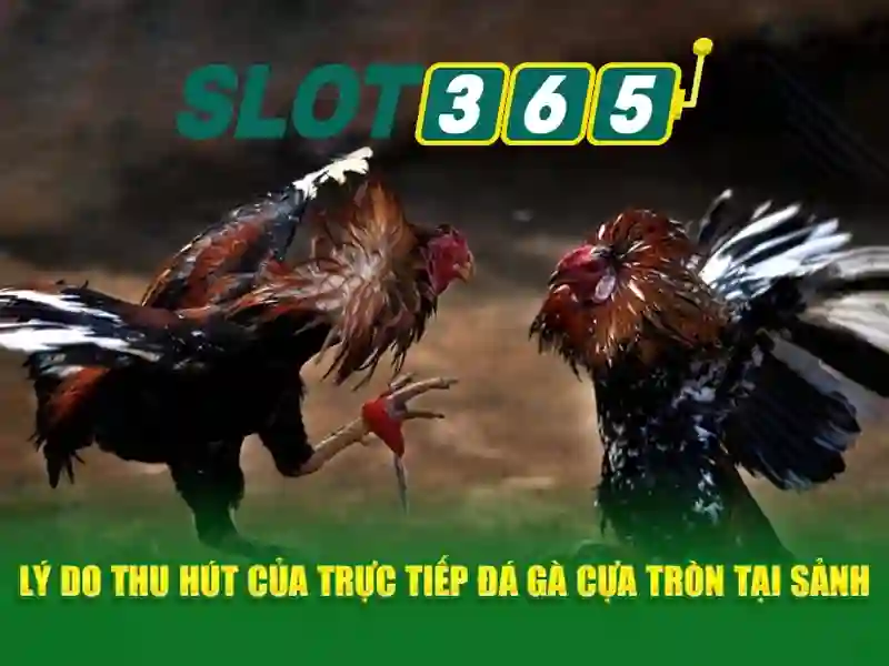 Khuyến mãi và chương trình thành viên Khuyến mãi và chương trình thành viên