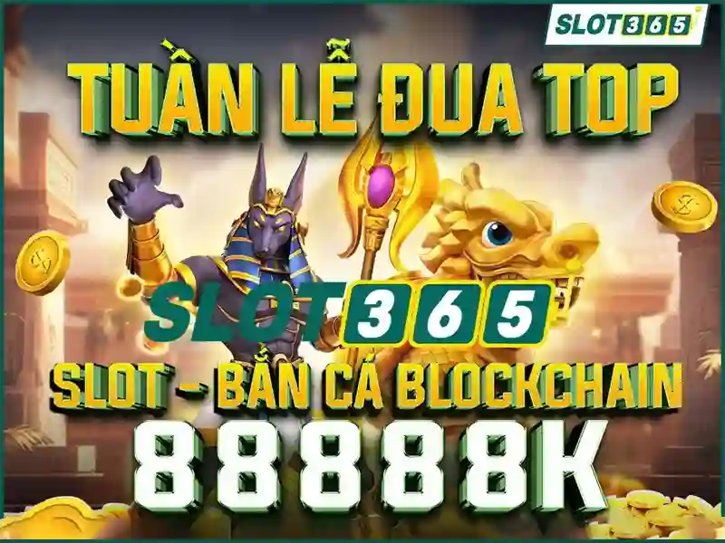 slot365 net – Giới thiệu tổng quan