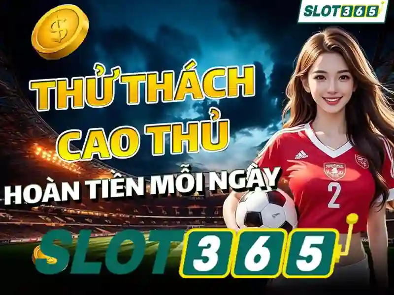 Trải nghiệm người dùng và phản hồi từ cộng đồng