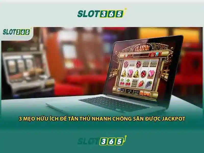 Ưu thế và cạnh tranh của slot365 đăng nhập