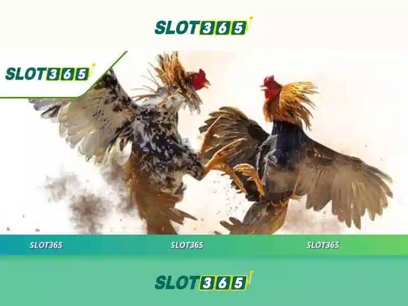 Slot365: Nền tảng slot trực tuyến đáng tin cậy và hấp dẫn Go88