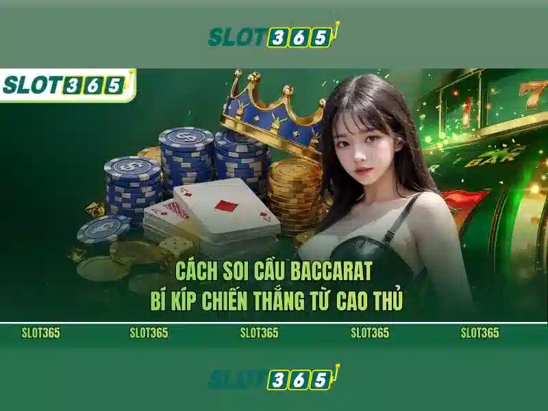 Dịch vụ chăm sóc khách hàng và hỗ trợ Dịch vụ chăm sóc khách hàng và hỗ trợ