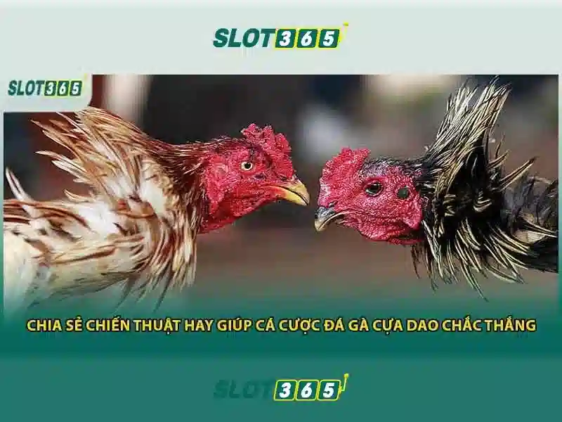 Slot365 - Nền tảng chơi slot trực tuyến hàng đầu