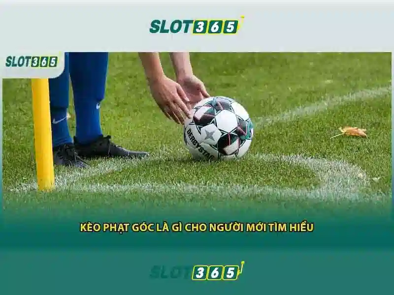 Slot365: Nền tảng cá cược trực tuyến hàng đầu 1 Đăng Nhập