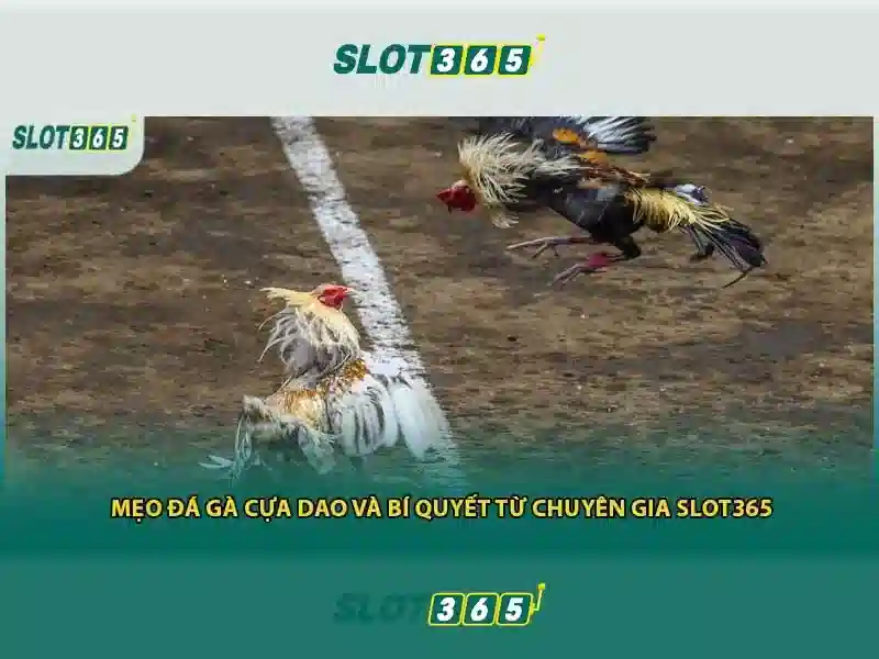 Slot365 - Trải nghiệm máy slot trực tuyến hàng đầu Go88