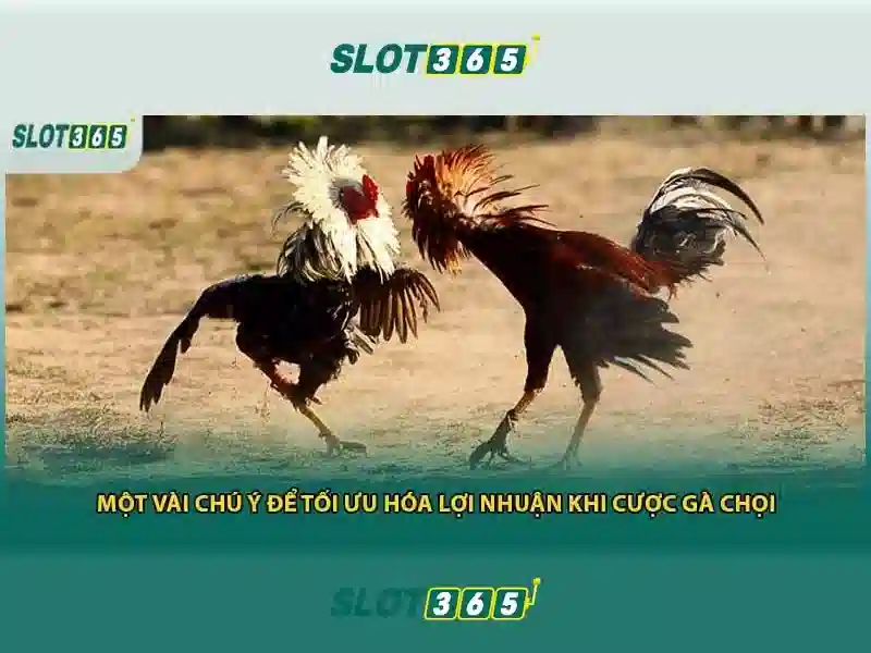 Slot365: Đánh giá và Trải nghiệm Slot trực tuyến Go88