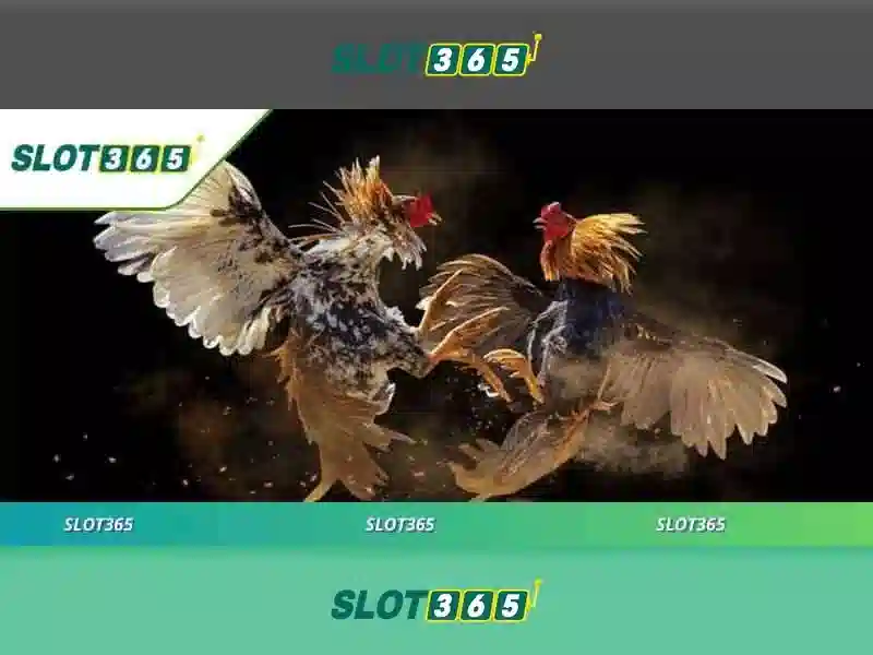 Slot365 là gì? – Tổng quan về nền tảng đánh bạc trực tuyến 1 Đăng Nhập