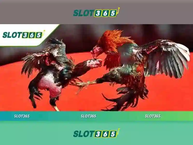 Giới thiệu về Slot365