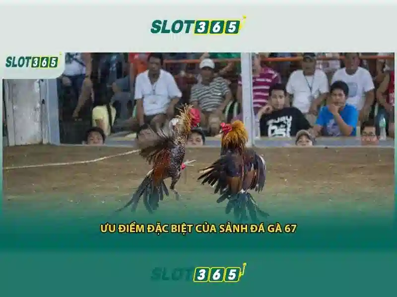 Đăng Nhập