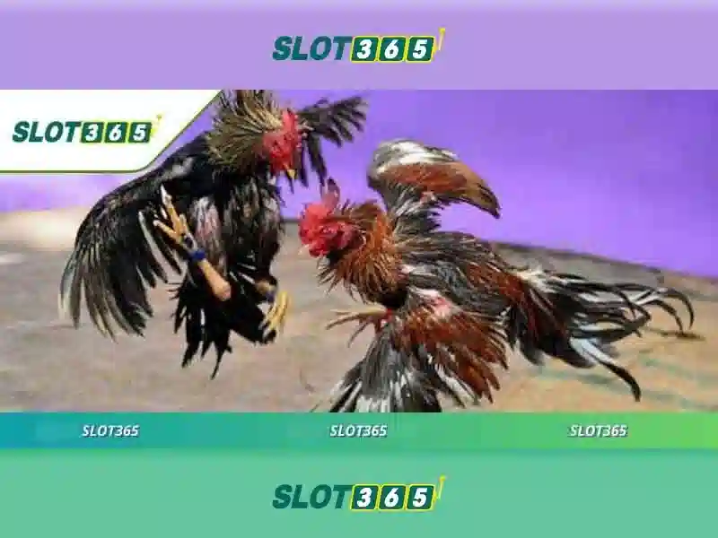 Slot365 - Trải nghiệm casino slots đỉnh cao 1 Đăng Nhập