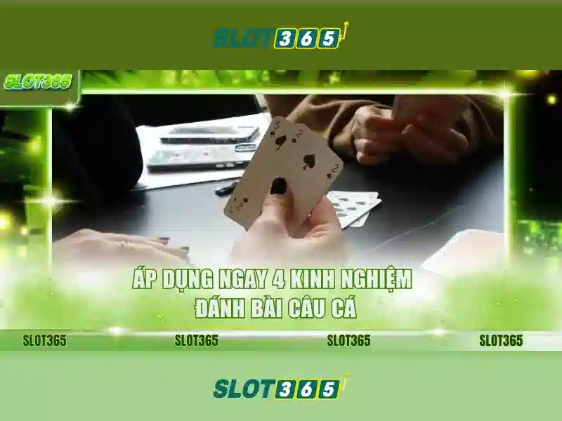 Trải nghiệm người dùng tại Slot365