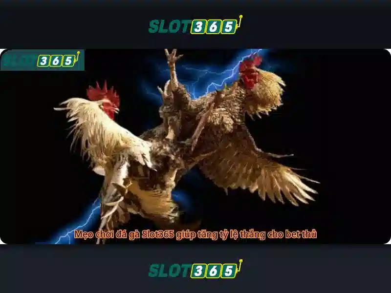 Tóm tắt và lời mời trải nghiệm