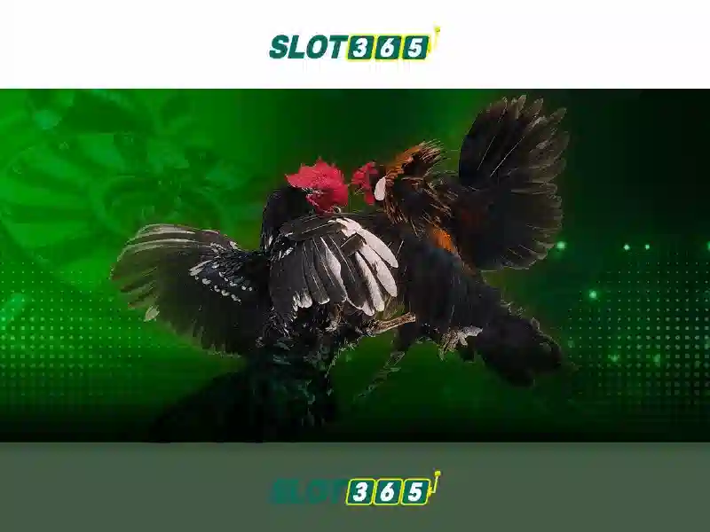 Slot365 – Khám phá nền tảng casino trực tuyến nổi bật Go88