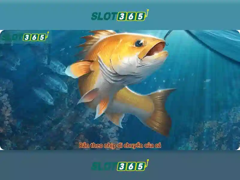 An toàn thanh toán và chăm sóc khách hàng