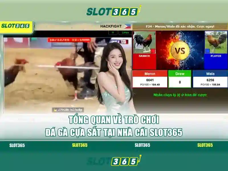 slot365 pulsa tanpa potongan – Tổng quan chủ đề và giá trị cốt lõi