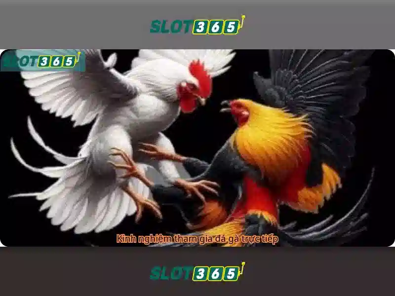 Slot365 - Nền tảng trò chơi xèng trực tuyến hàng đầu Go88