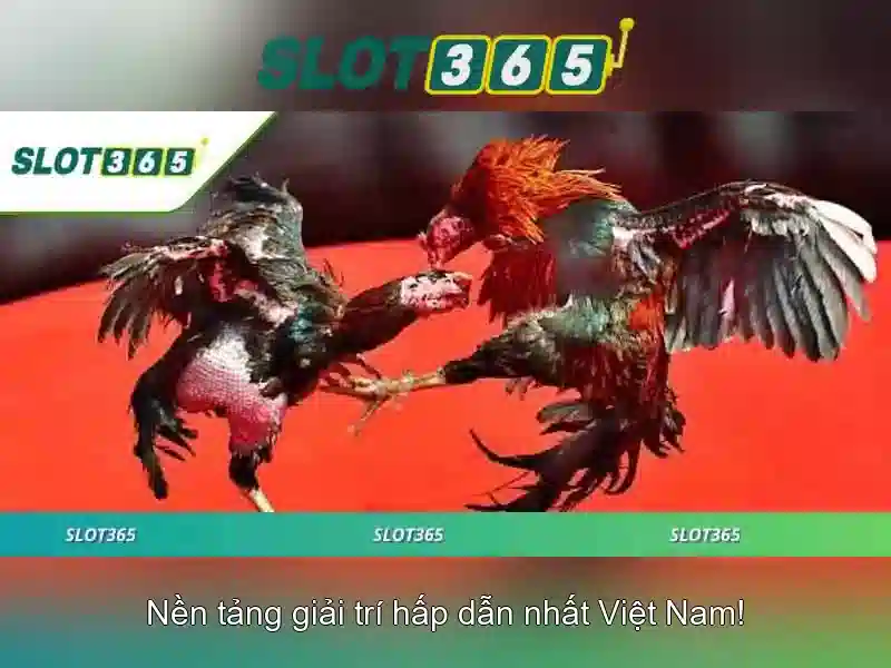 slot365 apk – Tổng quan chủ đề và giá trị cốt lõi