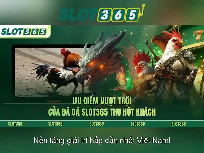 Slot365 – Tổng quan về nền tảng slot trực tuyến