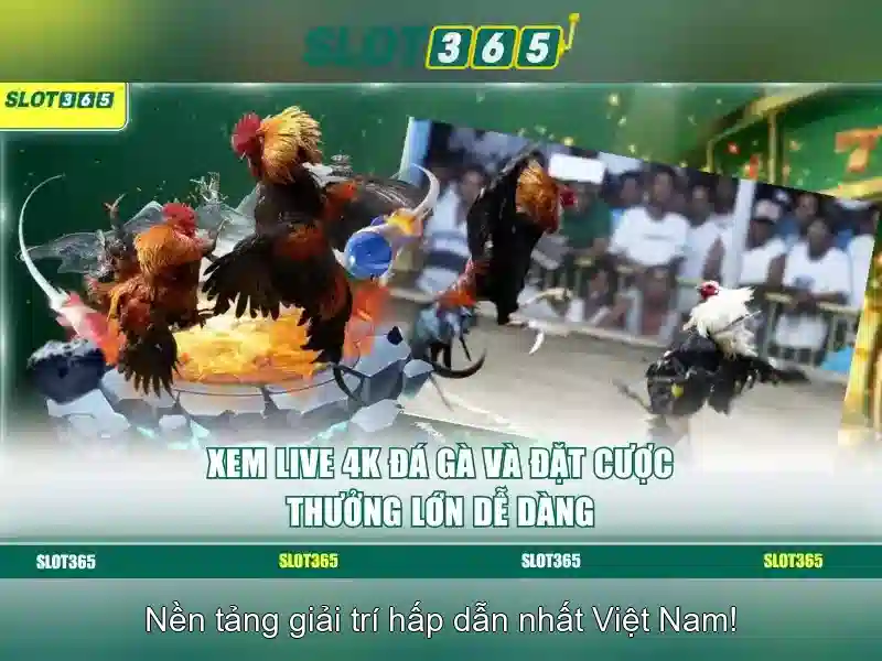 Trải nghiệm người dùng và an toàn