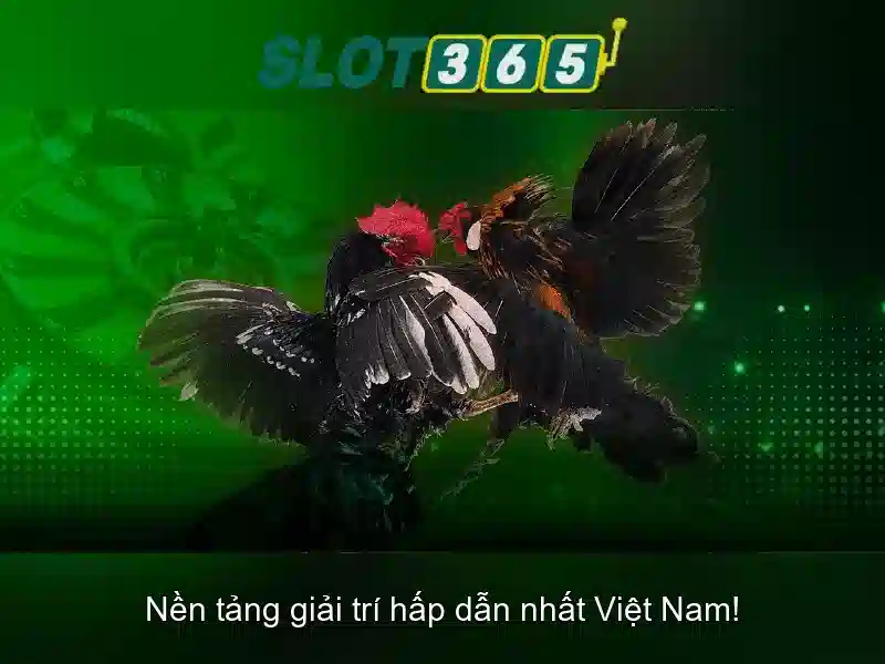 Slot365 - Trải nghiệm chơi slot trực tuyến đỉnh cao Go88
