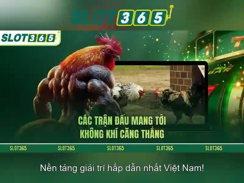 Slot365: Nền tảng giải trí và cá cược trực tuyến hàng đầu 1 Đăng Nhập