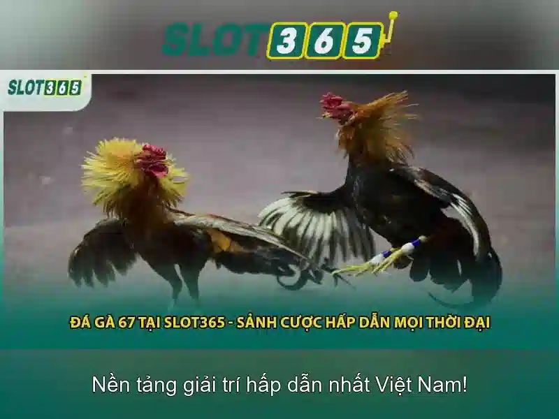 Slot365: Kham pha nen tang casino truc tuyen hang dau Go88