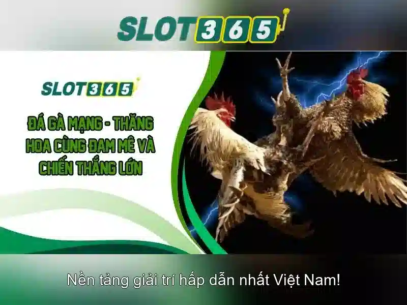 Trò chơi xèng đa dạng Trò chơi xèng đa dạng