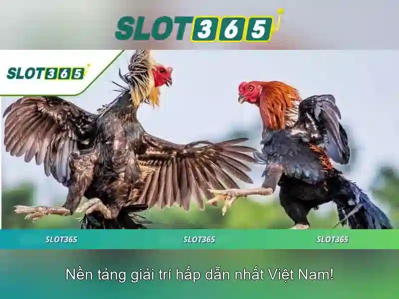 Slot365: Tổng quan về nền tảng chơi trực tuyến 1 Đăng Nhập