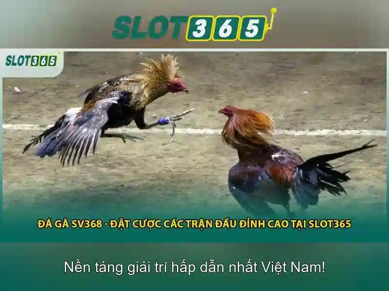 Slot365 là gì?<h>Trải nghiệm người dùng</h><p>Nội dung và bố cục trang chủ Slot365 được tối ưu hóa cho người chơi Việt với điều hướng trực quan, chữ cái rõ ràng, và màu sắc dễ chịu. Các tính năng như tìm kiếm trò chơi, gợi ý cá nhân và hỗ trợ khách hàng 24/7 mang lại trải nghiệm dễ chịu và an toàn.</p><h>Các trò chơi có mặt tại Slot365</h><p>Danh mục trò chơi khe phong phú với nhiều chủ đề, mức cược linh hoạt, và tính năng thưởng nổi bật như chơi miễn phí, vòng quay vệ tinh, và jackpot tiến tiến. Người chơi có thể thử vận may với các trò chơi có đồ họa sống động và âm thanh thuyết phục.</p><h>Khuyến mãi và bảo mật</h><p>Slot365 thường xuyên có các chương trình khuyến mãi hấp dẫn cho người dùng mới và thành viên cũ, kèm theo các biện pháp bảo mật tiên tiến, mã hóa dữ liệu và cơ chế kiểm tra công bằng để đảm bảo các vòng quay trung thực.</p> Slot365 là gì?<h>Trải nghiệm người dùng</h><p>Nội dung và bố cục trang chủ Slot365 được tối ưu hóa cho người chơi Việt với điều hướng trực quan, chữ cái rõ ràng, và màu sắc dễ chịu. Các tính năng như tìm kiếm trò chơi, gợi ý cá nhân và hỗ trợ khách hàng 24/7 mang lại trải nghiệm dễ chịu và an toàn.</p><h>Các trò chơi có mặt tại Slot365</h><p>Danh mục trò chơi khe phong phú với nhiều chủ đề, mức cược linh hoạt, và tính năng thưởng nổi bật như chơi miễn phí, vòng quay vệ tinh, và jackpot tiến tiến. Người chơi có thể thử vận may với các trò chơi có đồ họa sống động và âm thanh thuyết phục.</p><h>Khuyến mãi và bảo mật</h><p>Slot365 thường xuyên có các chương trình khuyến mãi hấp dẫn cho người dùng mới và thành viên cũ, kèm theo các biện pháp bảo mật tiên tiến, mã hóa dữ liệu và cơ chế kiểm tra công bằng để đảm bảo các vòng quay trung thực.</p>