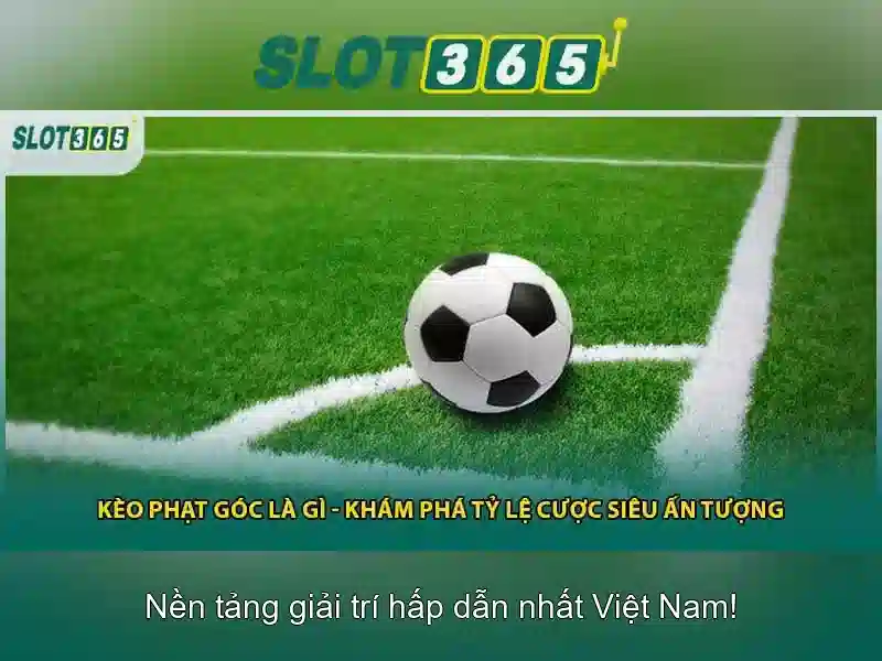 Slot365 là gì? Slot365 là gì?