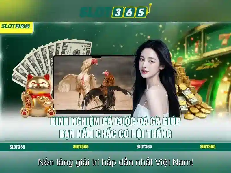 Chương trình thưởng và hỗ trợ khách hàng<p>Kết luận: Slot365 là một lựa chọn hấp dẫn cho người chơi slot với sự đa dạng, bảo mật và hỗ trợ khách hàng tận tâm. Hãy xem xét thử vận may của bạn trên nền tảng này và tận hưởng trải nghiệm chơi game chất lượng cao.</p> Chương trình thưởng và hỗ trợ khách hàng<p>Kết luận: Slot365 là một lựa chọn hấp dẫn cho người chơi slot với sự đa dạng, bảo mật và hỗ trợ khách hàng tận tâm. Hãy xem xét thử vận may của bạn trên nền tảng này và tận hưởng trải nghiệm chơi game chất lượng cao.</p>