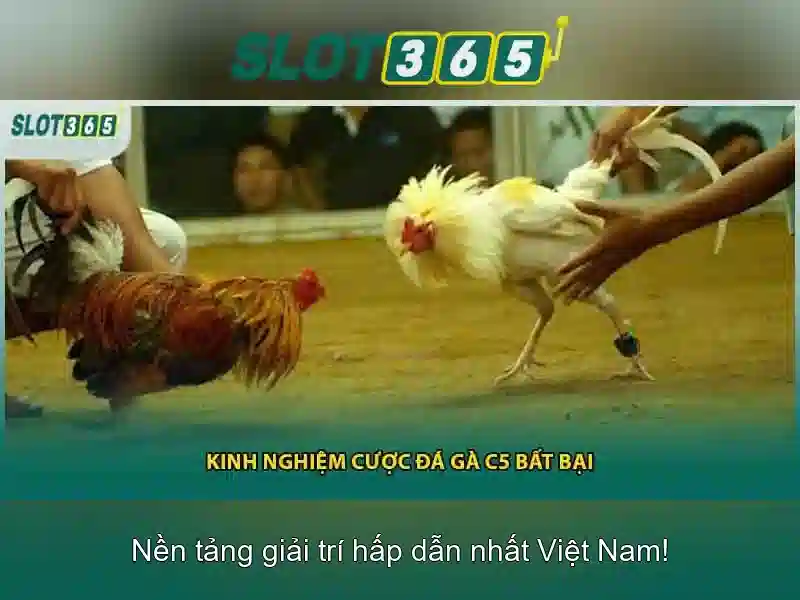 Slot365: Nền tảng casino trực tuyến an toàn Slot365: Nền tảng casino trực tuyến an toàn