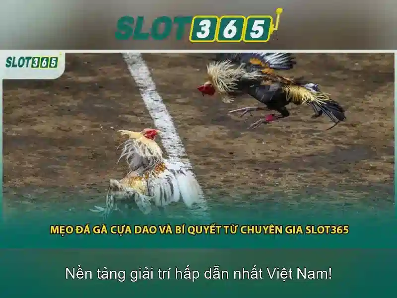 Slot365: Đánh giá nền tảng chơi slot trực tuyến Go88