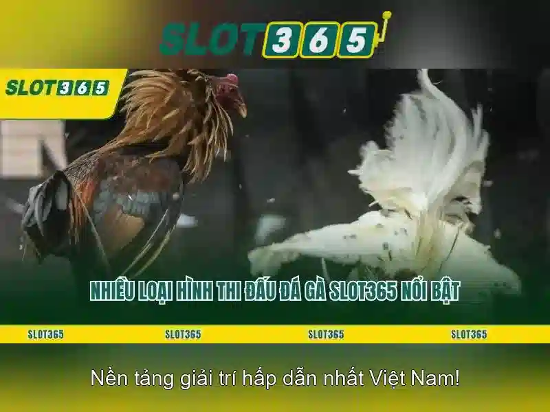 Khám phá danh mục trò chơi Slot365 đa dạng