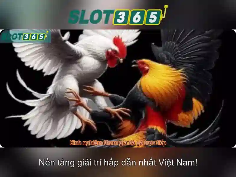 Hướng dẫn đăng ký nhanh chóng