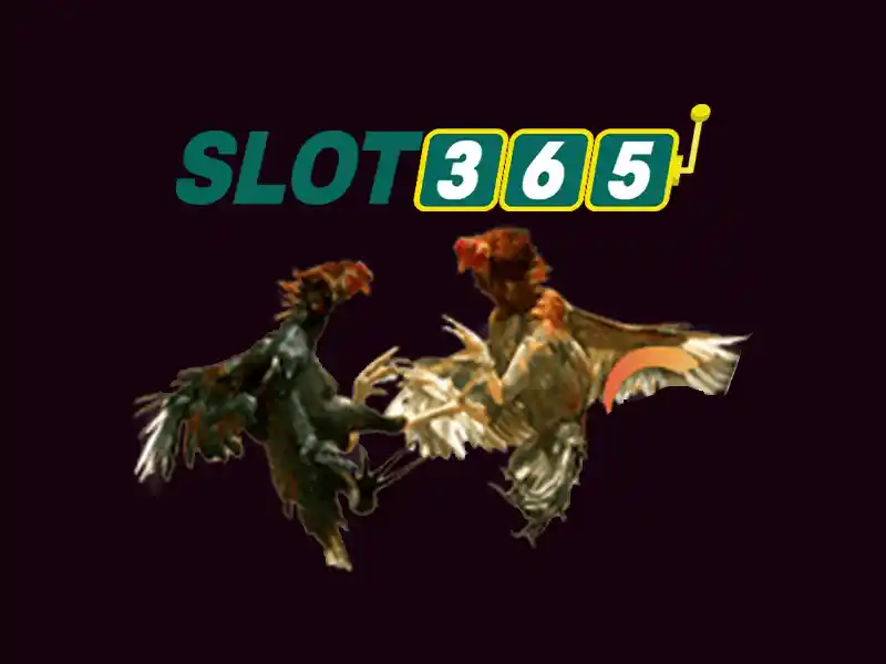 Slot365: Khám phá nền tảng slot trực tuyến uy tín Go88