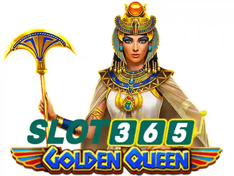 live slot365 – Giới thiệu tổng quan và mục tiêu