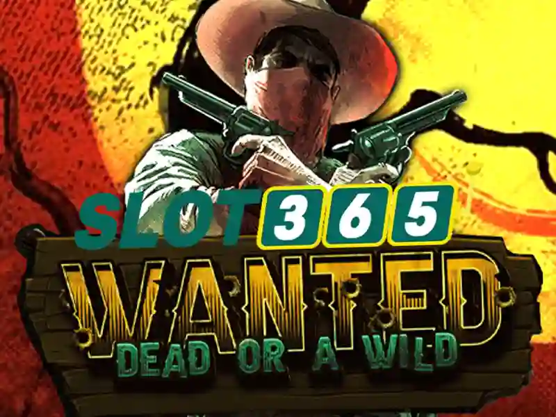 Nhan vien Slot365 dang phan hoi email khieu nai cua khach hang Nhan vien Slot365 dang phan hoi email khieu nai cua khach hang